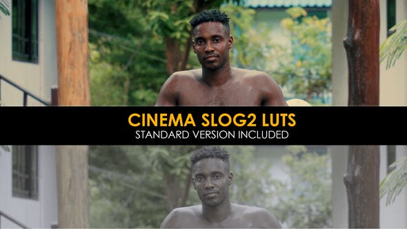 Cinema Slog2 And Standard LUTs