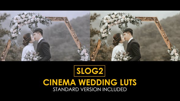 Videohive 40270196 Slog2 Cinema Wedding LUTs