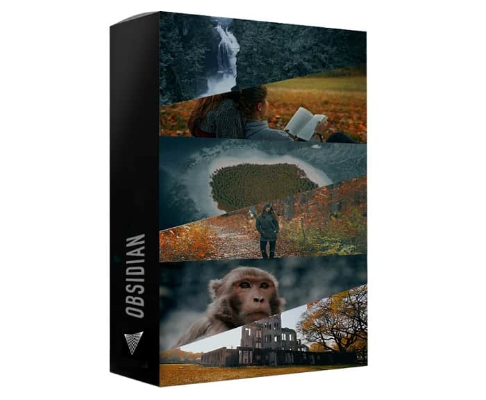 818c3d9c0f3a55f0ac2d5aa0c0065be6-1