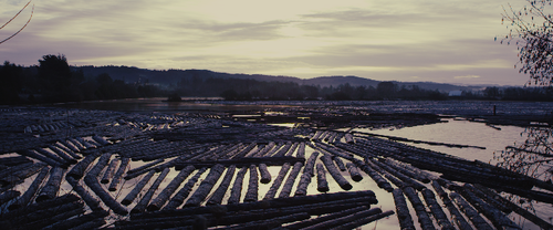 8266e4bfeda1bd42d8f9794eb4ea0a13-2