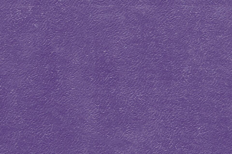 87e973c6a159e8d6926237ef995d1ba1