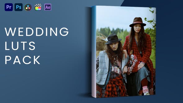 Videohive 44906047 Wedding Luts Pack