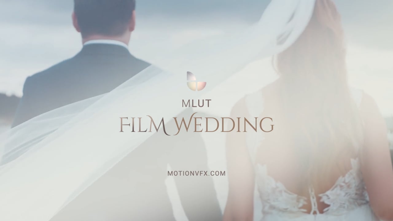 MotionVFX mLUT Film Wedding