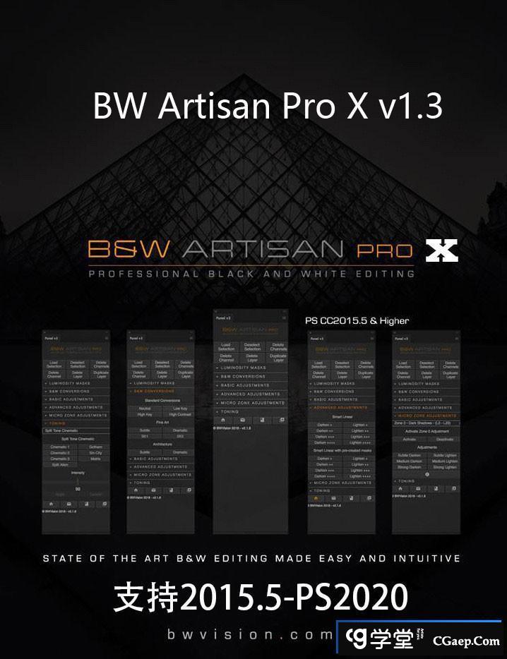 BW Artisan Pro X v1.3汉化版(Joel Tjintjelaar)黑白明度蒙版扩展支持2022