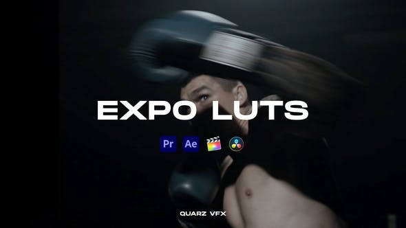 Videohive 39644666 Expo LUTs Color Presets