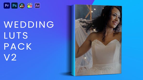 Videohive 40260559 Wedding Luts Pack V2