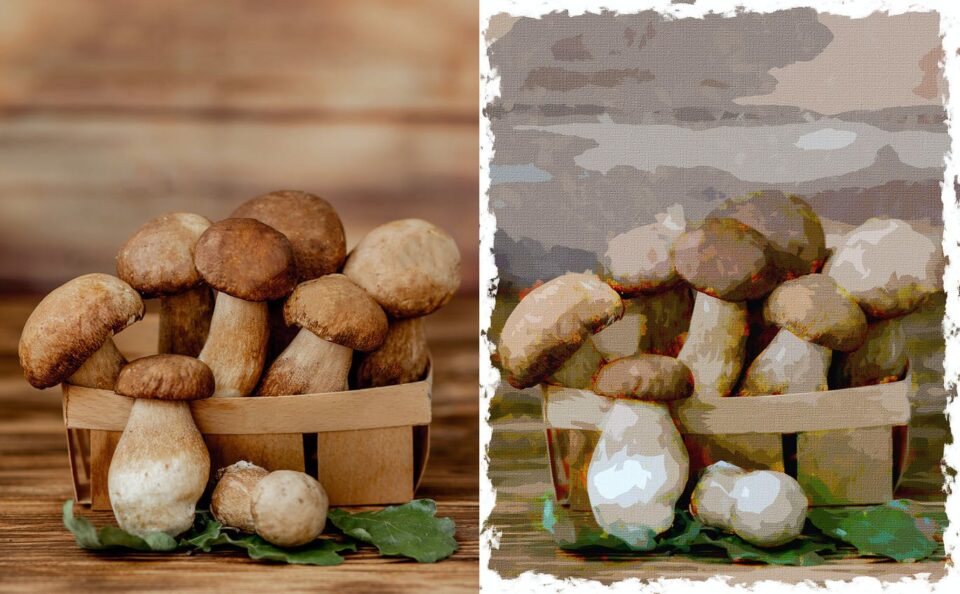 a57402a369d7f32a75bcefb90265bbcd a57402a369d7f32a75bcefb90265bbcd