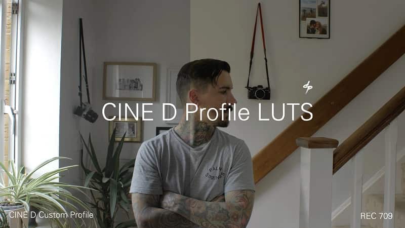 Daniel John Peters LUMIX CINE D LUTS