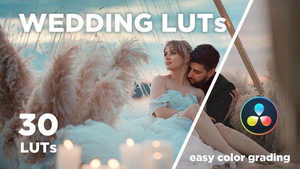 Videohive 48474820 30 WEDDING LUTs
