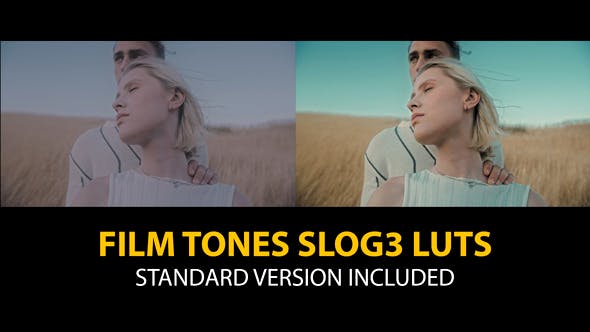 Videohive 40755781 Slog3 Film Tones and Standard LUTs