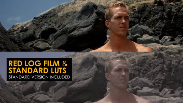 Red Log Film And Standard Luts