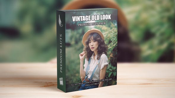Videohive 49914567 Old Vintage Fujifilm 70s 80s 90s Retro Kodak Gold Cinematic Hollywood Street LUTs