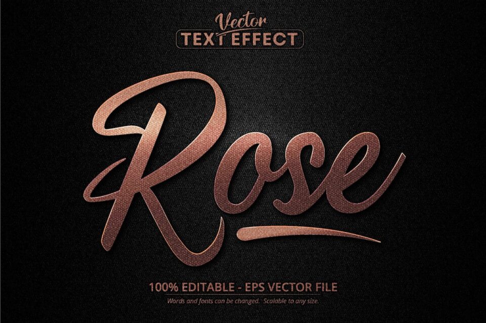 bedc70eca2a8a93eab3102d126c15dd0