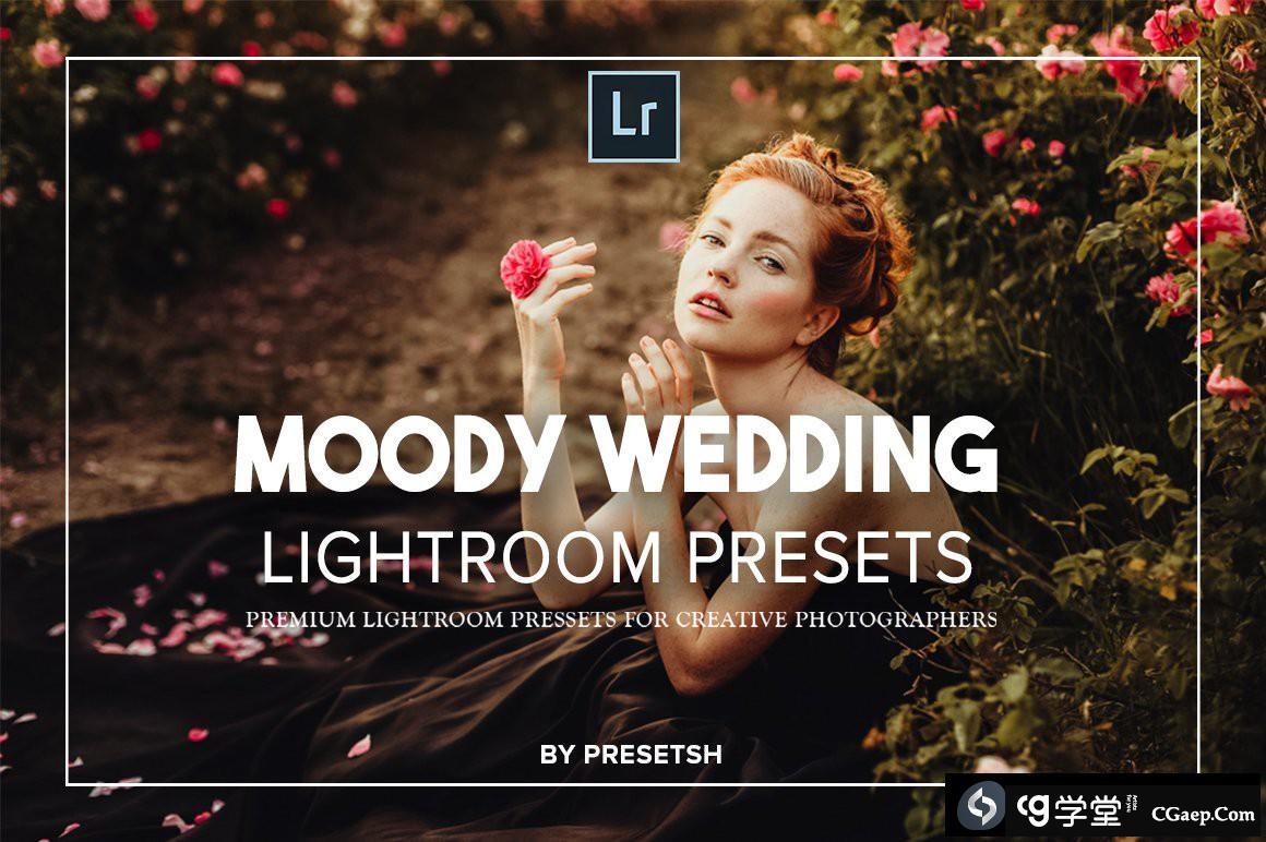 LR预设-喜怒无常的婚礼人像Lightroom预设 Moody Wedding Lightroom Presets