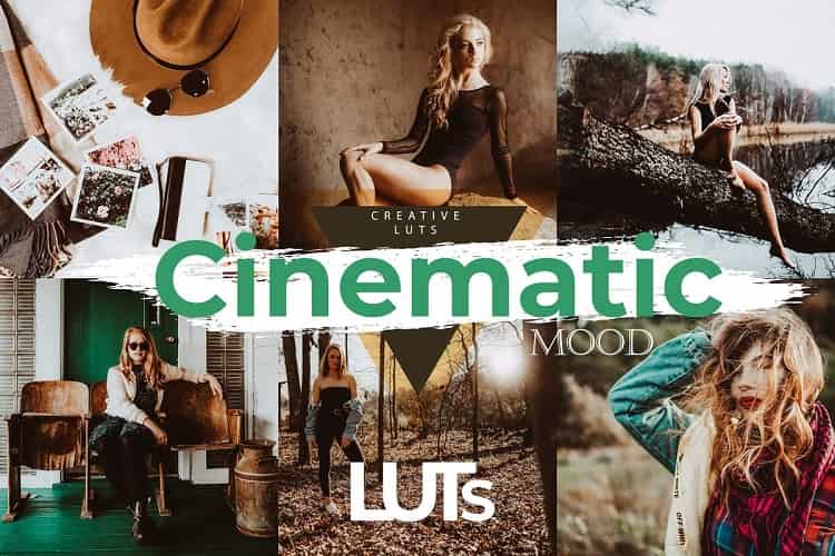 WeLovePresets Cinematic Mood Luts