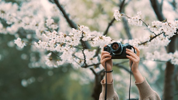 c51533e448ef8976daa7d16ee99de015