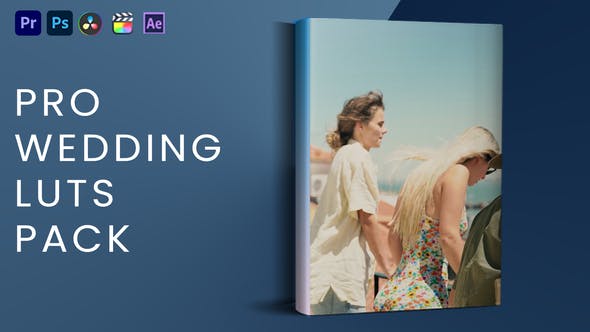 Videohive 44063438 Pro Wedding LUTs Pack