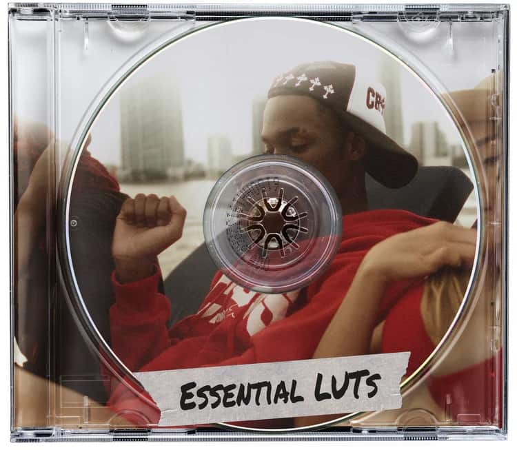 Bryan Delimata  Essential LUTs