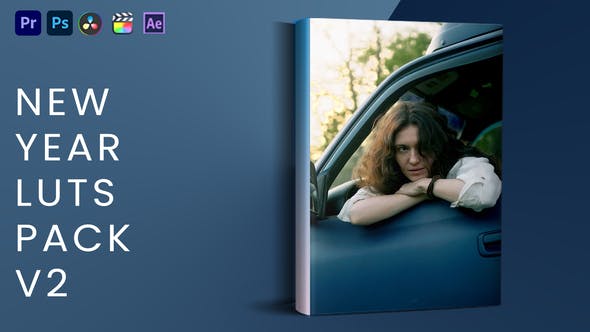Videohive 42452235 New Year LUTs Pack V2
