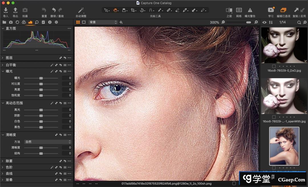 d62b03c41fb25e1c18a7566d8fc293ad