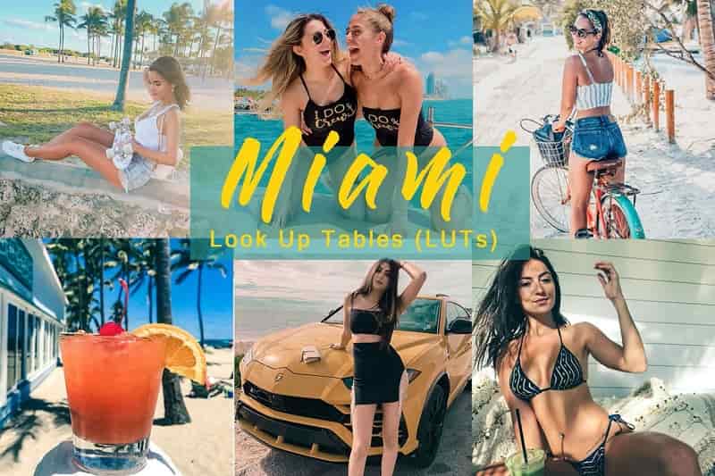 MIAMI – LUTs (Look Up Tables)