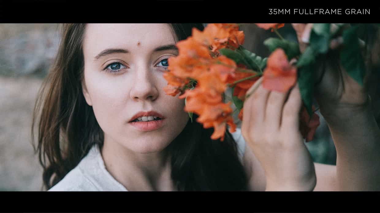 Earth FILM FEEL & GRAIN PACK – FOR ALL CAMERAS