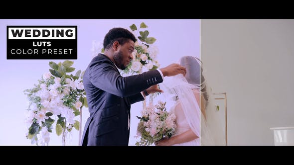 Videohive 43419676 Wedding LUTs