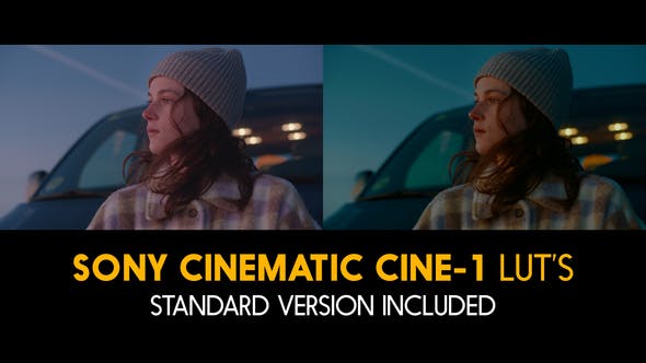 Sony Cinematic Cine-1 and Standard Luts