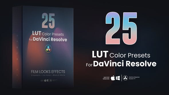 Videohive 42052504 25 LUTs pack for DaVinci Resolve