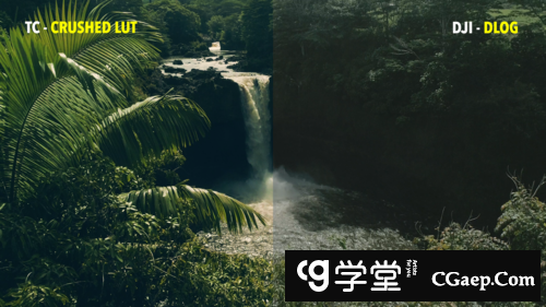 f19c9085129709ee14d013be869df69b-2