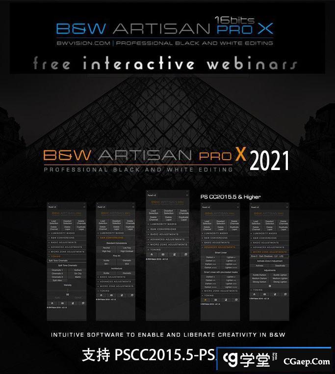 BW Artisan Pro X 2021汉化版|Joel Tjintjelaar风光黑白明度蒙版扩展插件
