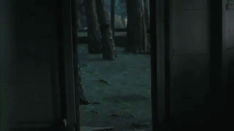 F78492F0513C659E69DAB2E47F567202