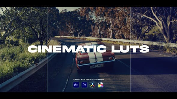 Videohive 44115792 Cinematic LUTs Color Presets