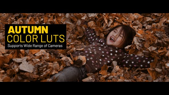 Videohive 38413510 Autumn LUTs