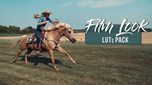 CineMart Film Looks Cinematic LUTs Bundle