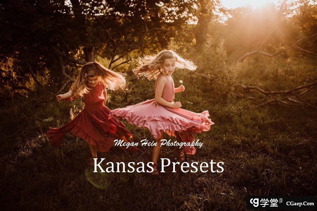 摄影师Megan Hein梦幻光线的魔力Lightroom预设Megan Hein Kansas Presets