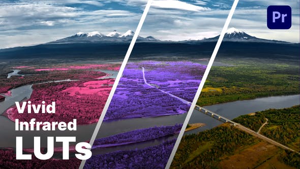 2e95c2566caaa748809dcafaa02808d1-1 Videohive 50850158 Aerochrome Infrared LUTs