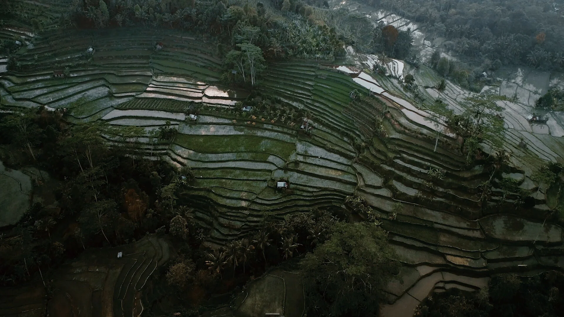 Titanium LUT Pack大师版 专业电影级钛合金色调预设合集插图20