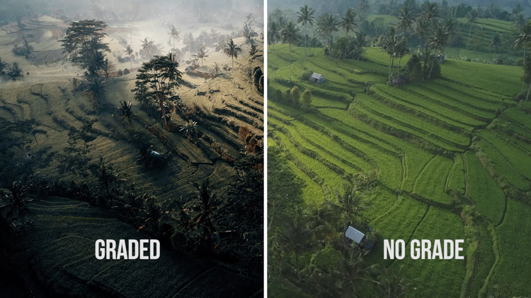 Titanium LUT Pack大师版 专业电影级钛合金色调预设合集插图7