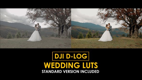 46a4dd28c9c14e123826f3f291ae01f4-2 Videohive 50807784 DJI D-Log Wedding LUTs