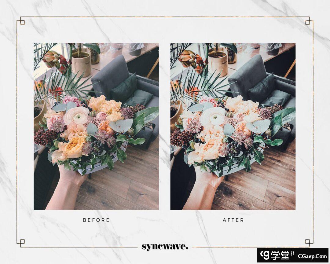 48817ef7d771de37a822ed616ea7658a