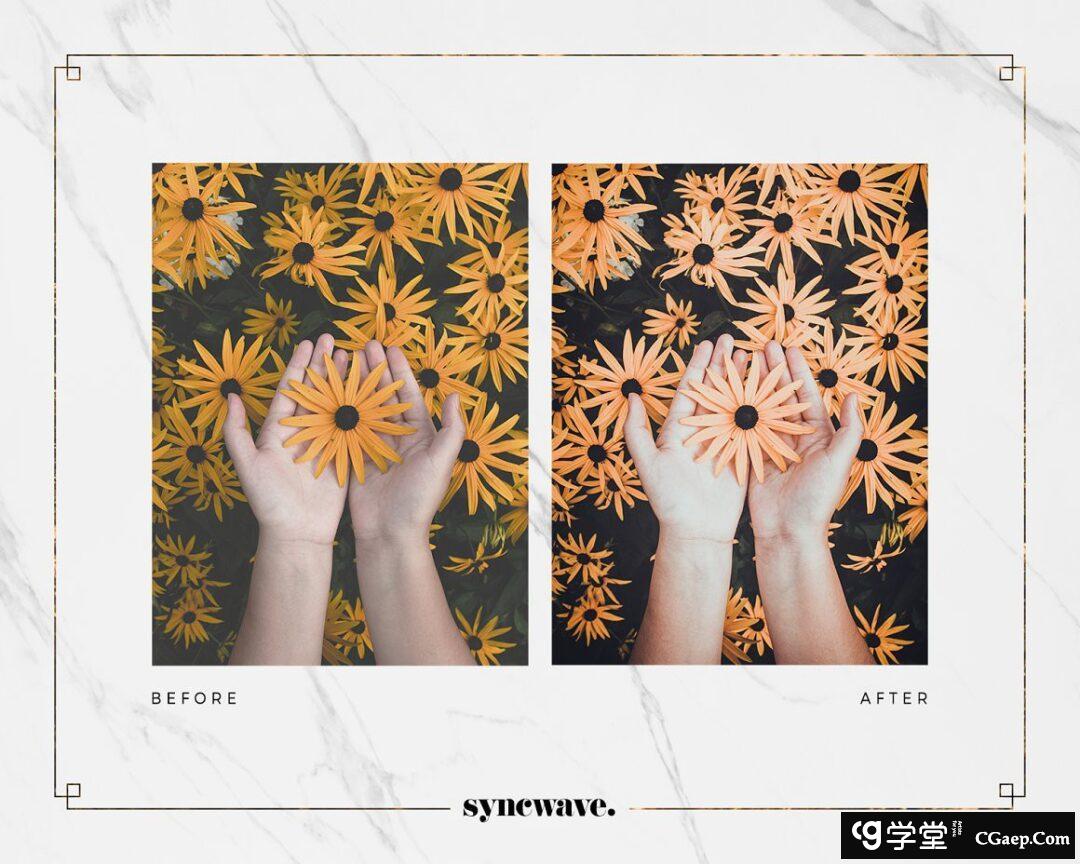 4a80783a52302b5498f0694236ea7477