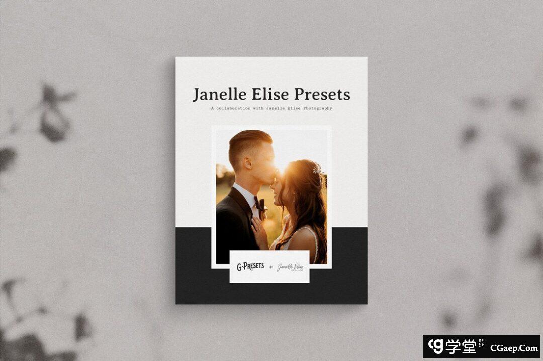 Janelle Elise从黎明到黄昏家庭人像后期LR预设Janelle Elise Presets