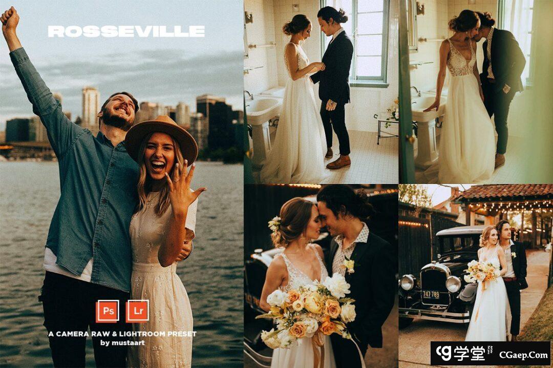 罗斯威尔自然光婚礼人像LR预设Rosseville Natural Light Wedding