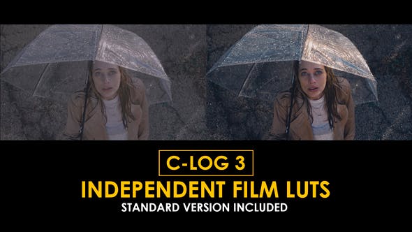 Videohive 50876999 Canon C-Log3 Independent Film and Standard Color LUTs
