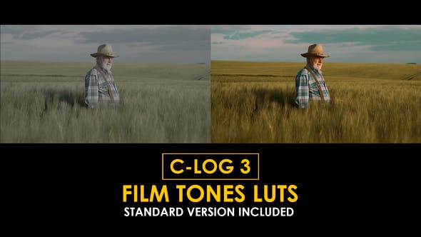 Videohive 50807682 Film Tones Canon C-Log3 and Standard LUTs