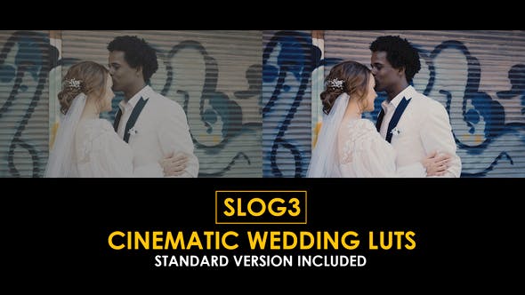 ad456bb967f7ddc72ed232d51cb40a5c-1 Videohive 51047618 Slog3 Cinematic Wedding and Standard Color LUTs