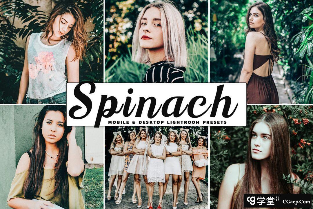 森系胶片人像Lightroom预设/APP预设Spinach Mobile Lightroom Presets