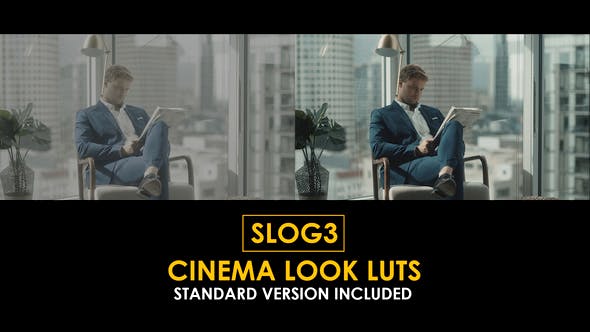 bad9692642a93eca9c2866970e81874b-1 Videohive 50930983 Slog3 Cinema Look and Standard Color LUTs
