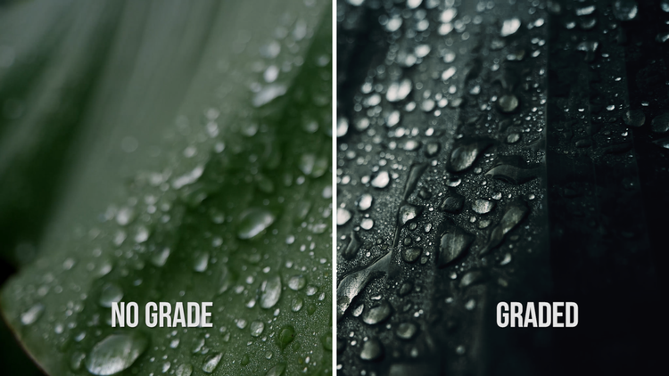 Titanium LUT Pack大师版 专业电影级钛合金色调预设合集插图10